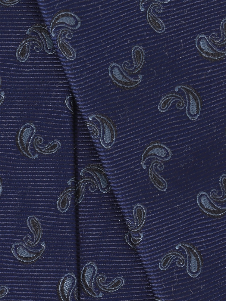 ネクタイ／JAPAN MADE／絹鳴り／シルク／ペイズリー×織柄2 ネクタイ 織柄