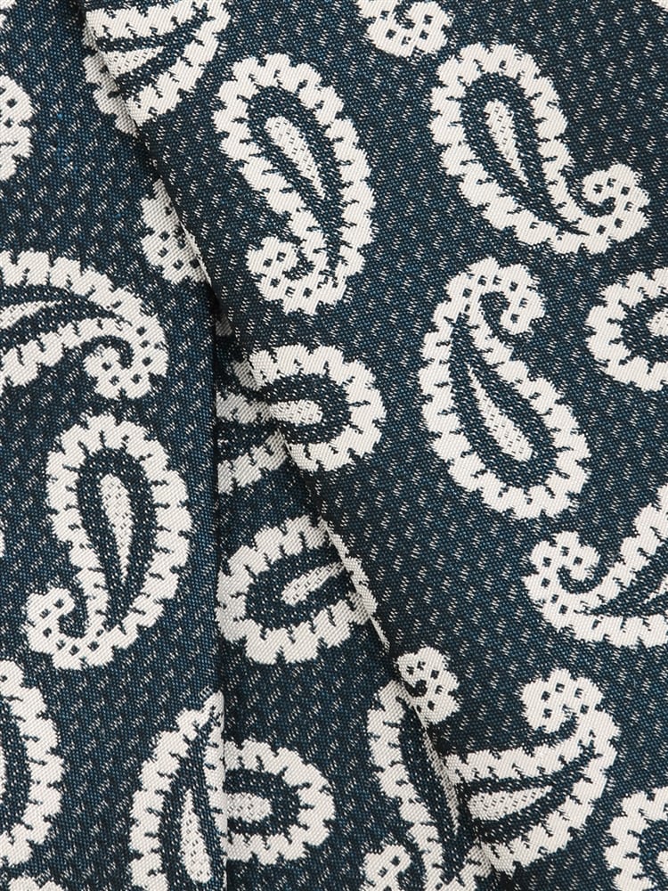 ネクタイ／JAPAN MADE／シルク／ペイズリー×織柄2 ネクタイ 織柄