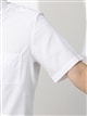 ワイシャツ／半袖／形態安定／ボタンダウンカラー／織柄／ドレスシャツ5