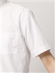 ワイシャツ／半袖／形態安定／RENU／ボタンダウンカラー／無地／BASIC／ドレスシャツ5