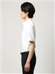 ワイシャツ／半袖／形態安定／COOL MAX／ボタンダウンカラー／無地／FIT／ドレスシャツ1