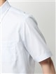 ワイシャツ／半袖／形態安定／ボタンダウンカラー／ストライプ／BASIC／ドレスシャツ5
