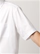 ワイシャツ／半袖／形態安定／ボタンダウンカラー／無地／BASIC／ドレスシャツ5