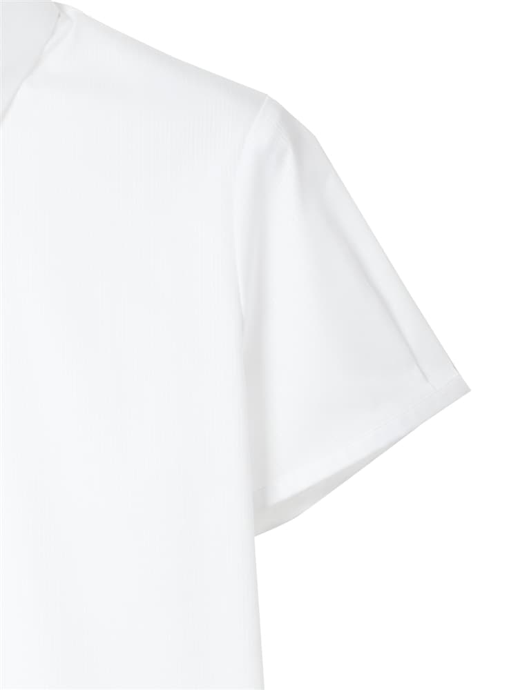 レギュラーカラーシャツ／半袖／Easy Care Stretch Blouse／シャドーストライプ3 コットン 半袖