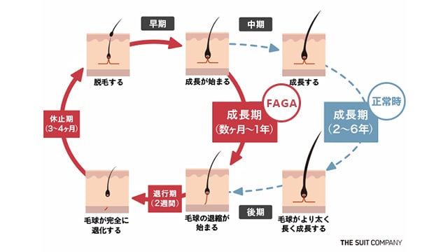 FAGAのヘアサイクル