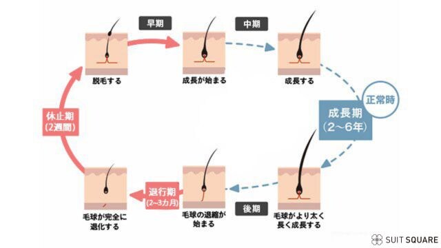 ヘアサイクルの写真