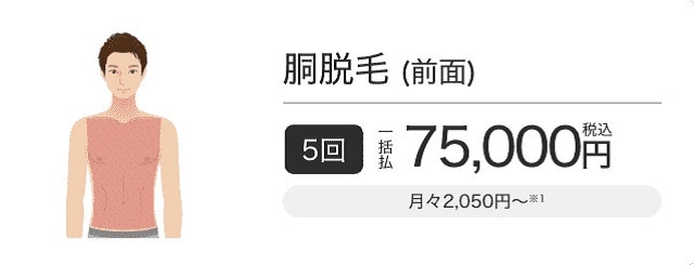 エミナルクリニックメンズ（メンズエミナル）の胴脱毛プランの前面