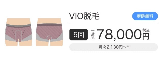 エミナルクリニックメンズ（メンズエミナル）のVIO脱毛プラン