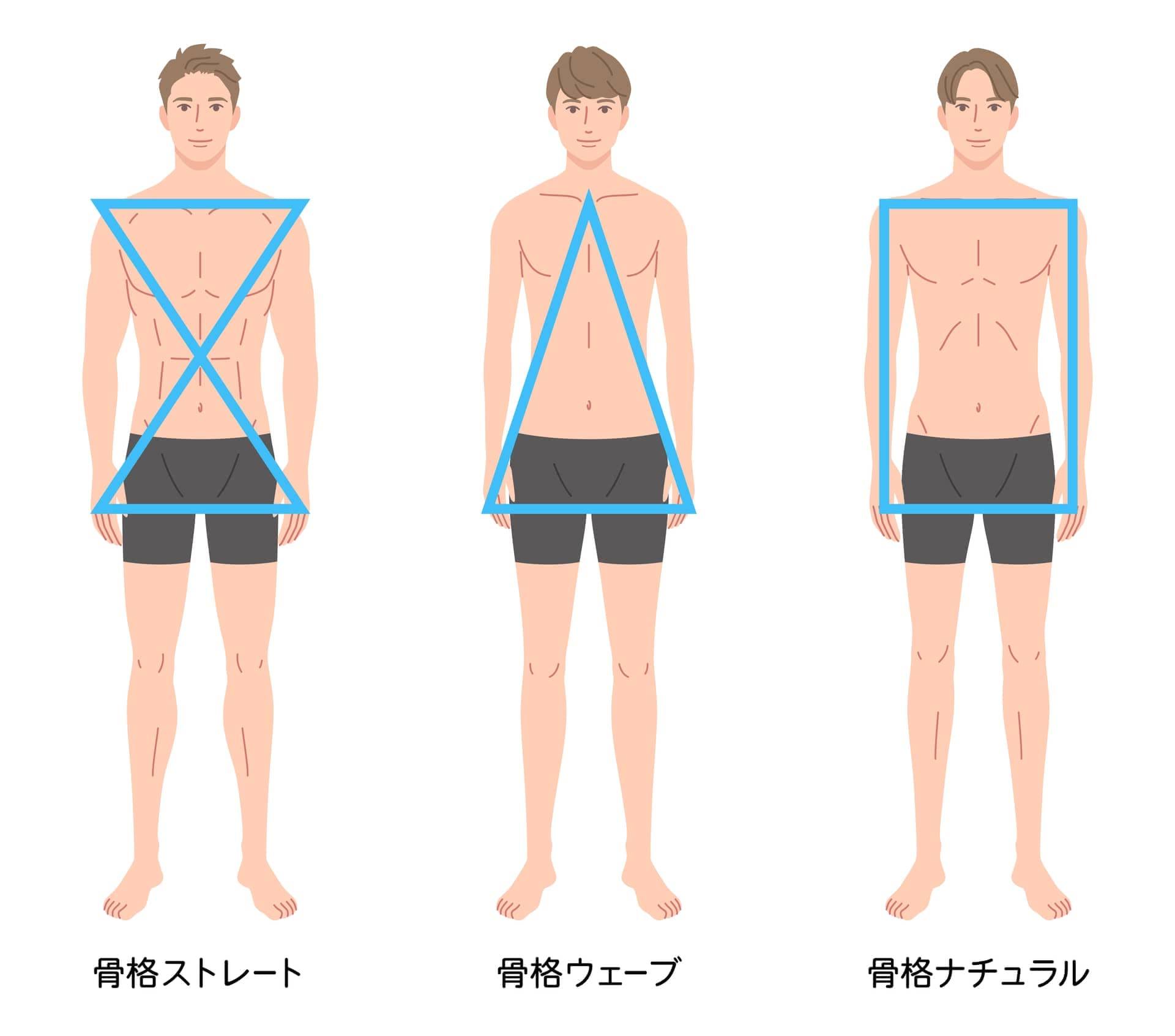 メンズの骨格ウェーブの特徴