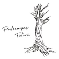 ポドカルプストタラ木の画像